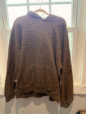 Abercrombie & Fitch Taupe/Brown Fleece-Lined Hoodie